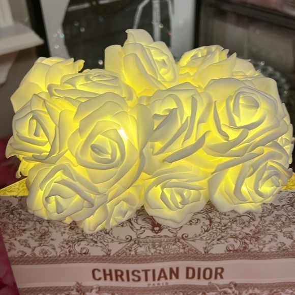 GlammitCreations Light Up Rose Arrangement in Dior Holiday Shopping Bag - Picture 4 of 12
